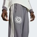 Спортивні штани MERCEDES - AMG PETRONAS FORMULA 1 TEAM SILVER ARROWS ICON MEN