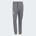 Спортивні штани MERCEDES - AMG PETRONAS FORMULA 1 TEAM SILVER ARROWS ICON MEN