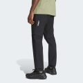 Брюки Terrex Multi Zip Off