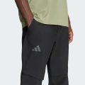 Брюки Terrex Multi Zip Off
