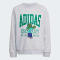 Комплект: свитшот и джоггеры ADIDAS MINECRAFT