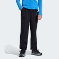 Брюки Terrex CLIMA365 Multi Kids