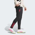 Спортивні штани Liverpool FC Tiro 25 Competition
