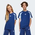 Футболка Seasonal Essentials Colorblock Kids