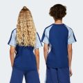 Футболка Seasonal Essentials Colorblock Kids