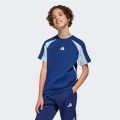 Футболка Seasonal Essentials Colorblock Kids