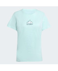Футболка Terrex Outdoor Athlete Graphic