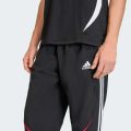 Спортивні штани Teamgeist Adicolor