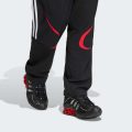 Спортивні штани Teamgeist Adicolor