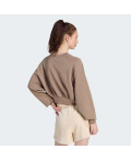 Світшот ALL SZN Soft Lux Loose