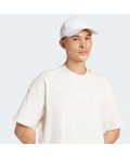 Футболка ALL SZN Embroidered Graphics