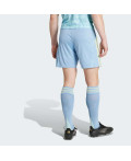 Виїзні шорти Juventus 25/26 Away