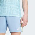 Виїзні шорти Juventus 25/26 Away