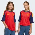 Домашнє джерсі Spain 26 Home