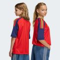 Домашнє джерсі Spain 26 Home