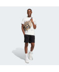 Шорти ALL SZN French Terry