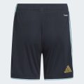 Домашние шорты Argentina 26 Home Replica Kids