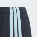 Домашние шорты Argentina 26 Home Replica Kids