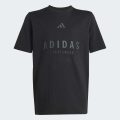 Футболка ALL SZN Graphic Kids