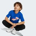Футболка Adiraptor Graphic Kids