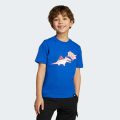 Футболка Adiraptor Graphic Kids