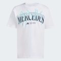 Футболка Mercedes - AMG Petronas Formula One Team Graphic