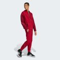 Спортивні штани New adidas Z.N.E.