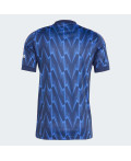 Виїзне джерсі Arsenal 25/26 Away
