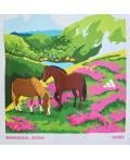 Футболка Terrex Horse