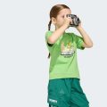 Футболка Adidas Minecraft Terrex