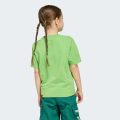 Футболка Adidas Minecraft Terrex