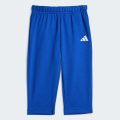 Комплект: свитшот и брюки Seasonal Essentials Adiraptor French Terry Kids