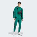 Худі Future Icons 3-Stripes Full Zip