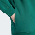 Худі Future Icons 3-Stripes Full Zip