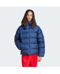 Пуховик Tonal Hooded