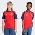 Домашнє джерсі Spain 26 Home Kids Fan