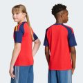 Домашнє джерсі Spain 26 Home Kids Fan