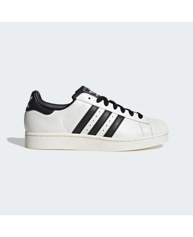 Кросівки SUPERSTAR II