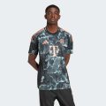 Джерсі FC Bayern 24/25 Away