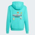 Худи Adidas Minecraft Terrex