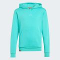 Худи Adidas Minecraft Terrex