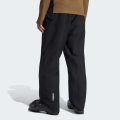 Штани Terrex Multi 2 Layer CLIMAPROOF Insulated