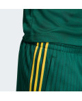 Шорти Firebird Engineered Stripes