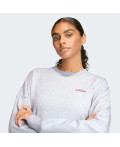 Світшот Seasonal Essentials Colorpop with Embroidered Graphic