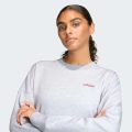 Світшот Seasonal Essentials Colorpop with Embroidered Graphic