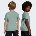 Футболка Adiraptor Graphic Kids