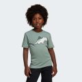 Футболка Adiraptor Graphic Kids