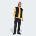 Спортивні штани Terrex Multi Essentials Fleece