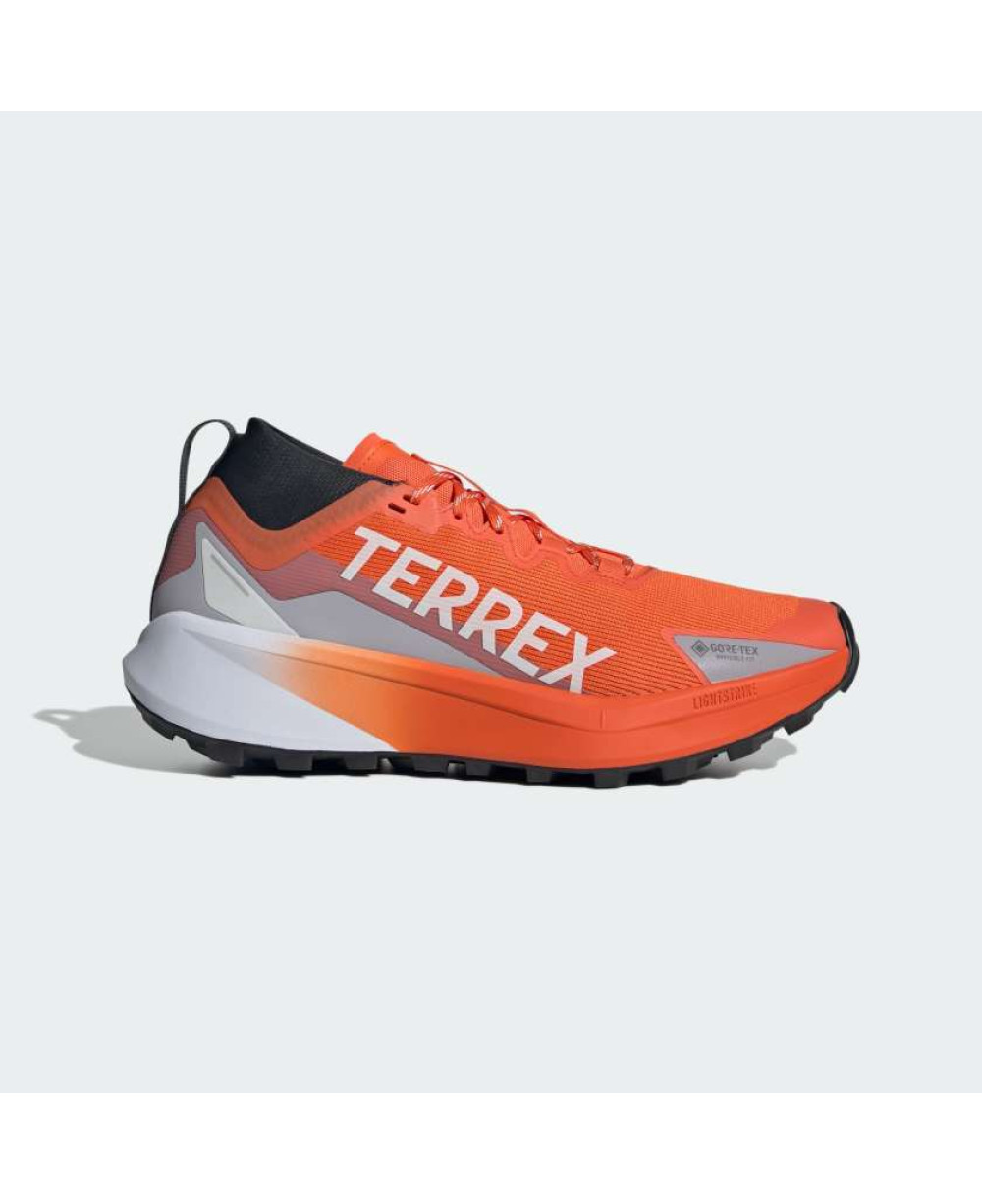 Кросівки Terrex Agravic GTX Trail Running