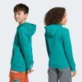 Худі Adidas Minecraft Terrex